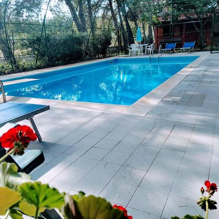 Agriturismo Valle Verde アルタムラ エクステリア 写真