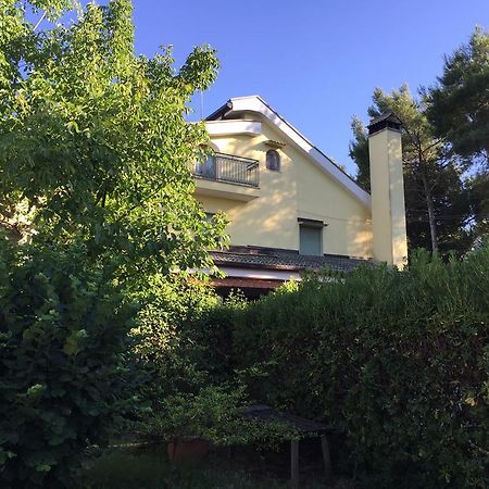 Agriturismo Valle Verde アルタムラ エクステリア 写真