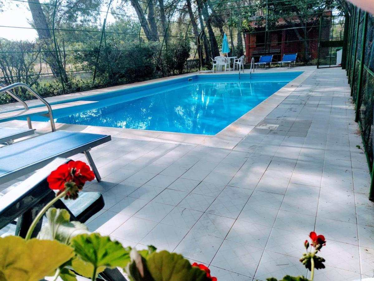 Agriturismo Valle Verde アルタムラ エクステリア 写真