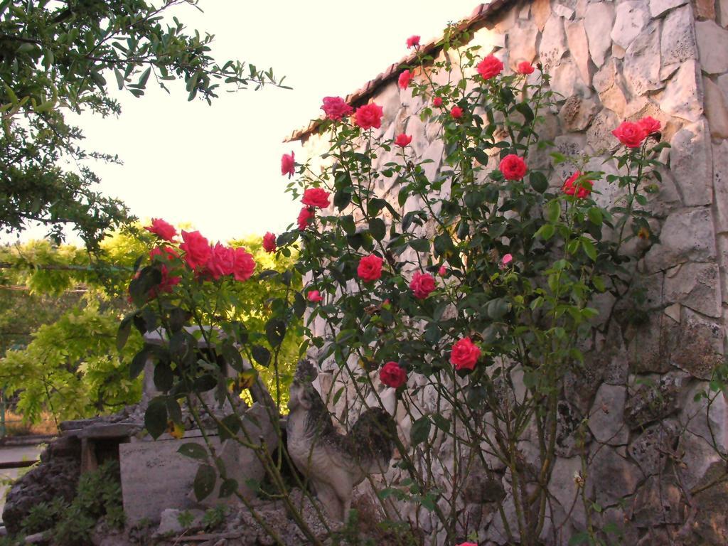 Agriturismo Valle Verde アルタムラ エクステリア 写真