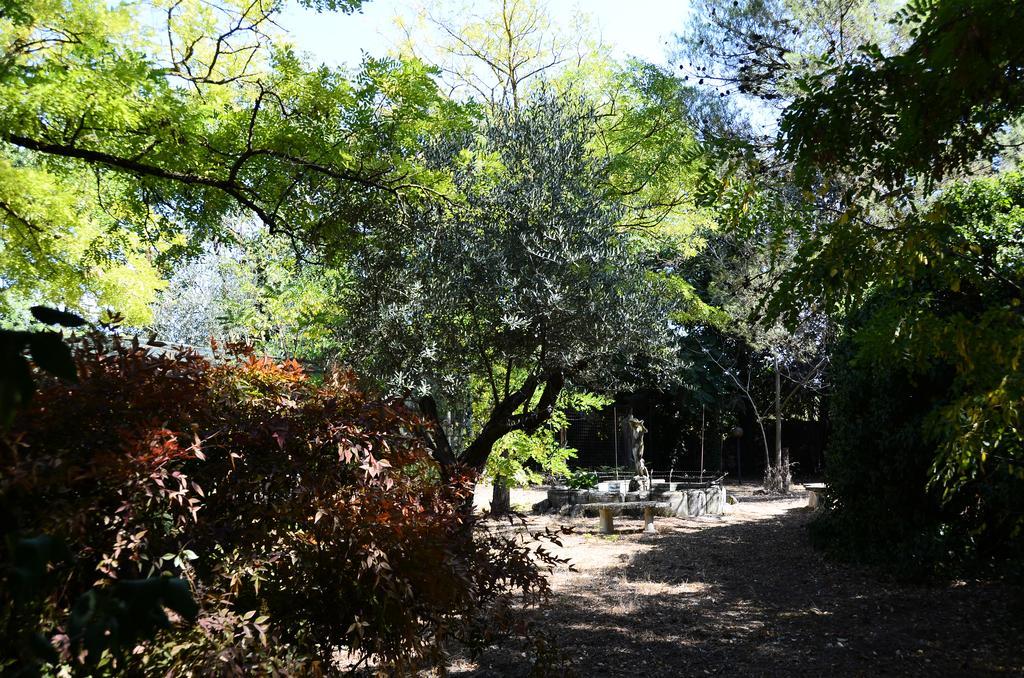 Agriturismo Valle Verde アルタムラ エクステリア 写真