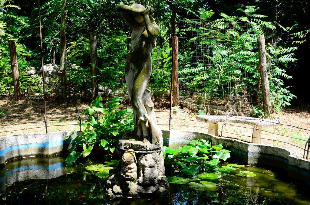 Agriturismo Valle Verde アルタムラ エクステリア 写真